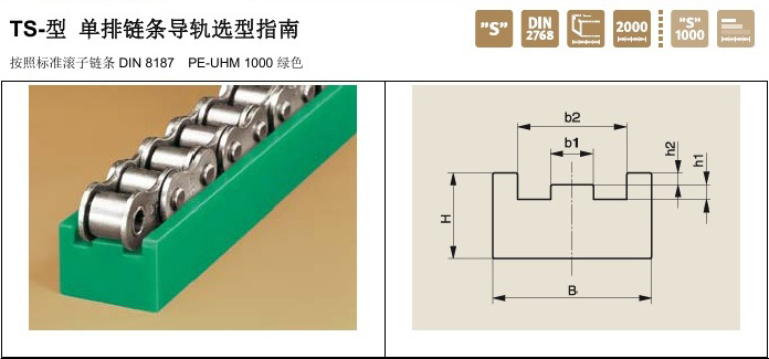 Murtfeldt鏈條導(dǎo)軌TS型